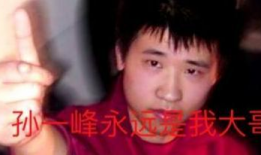 f91星际直播,揭秘星际争霸2的精彩瞬间与战术解析